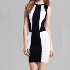 Torn by Ronny Kobo Sleeveless Colour Block Bodycon Dress size S